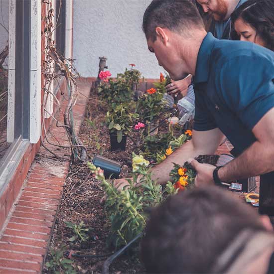 Landscaping Weston